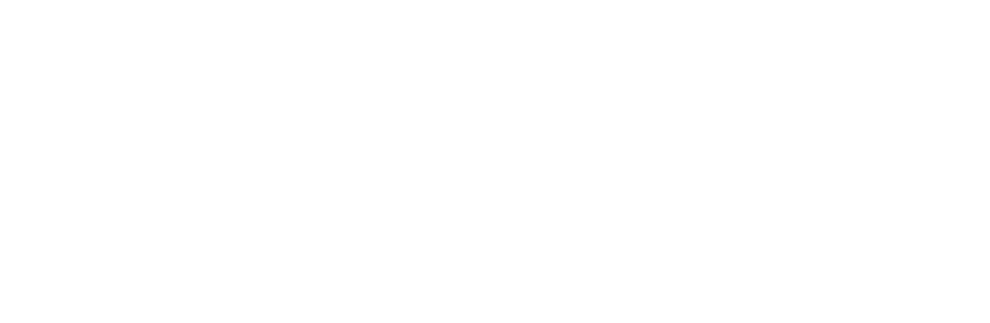 logo_negatif